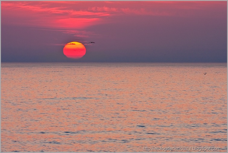 Sol