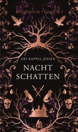 Bücherblog. Rezension. Buchcover. Nachtschatten (Band 3) von Gry Kappel Jensen. Fantasy. Jugendbuch. Arctis Verlag.