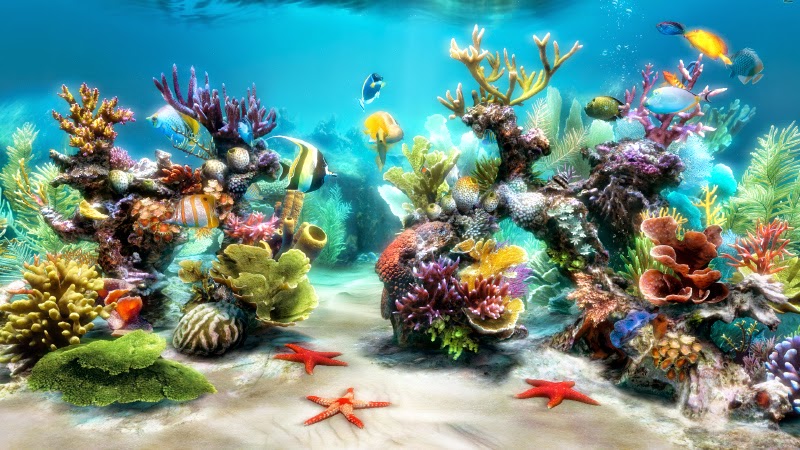 3d aquarium live wallpaper hd apk 1080wallpaperhd.com}