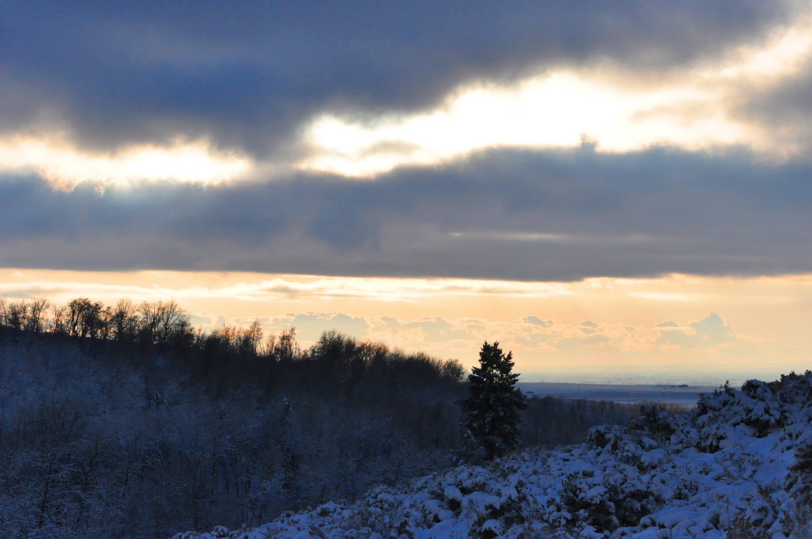 About a foot of snow fell in