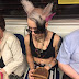 The s**t you see riding the subway these days (42 Photos)