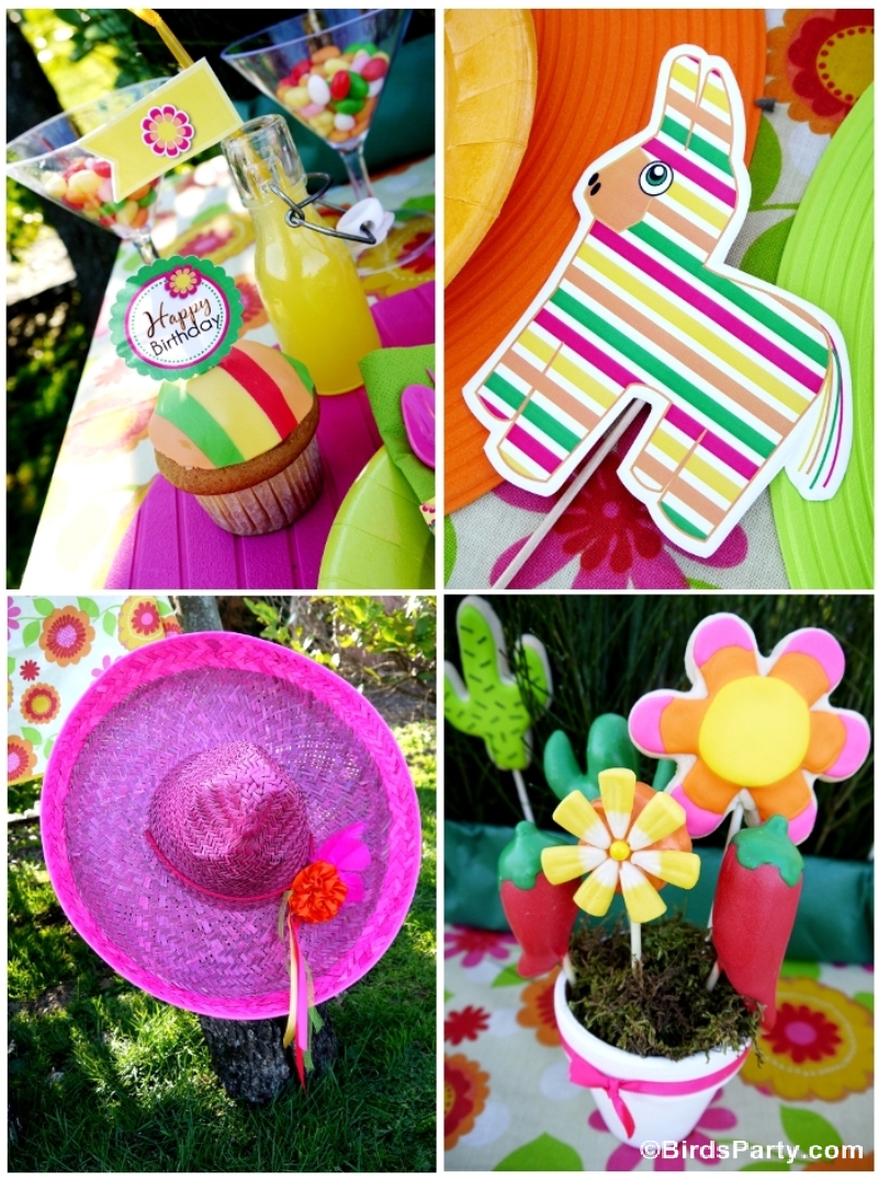 Cinco de Mayo Party  Ideas  A Mexican Pinata Themed Fiesta  