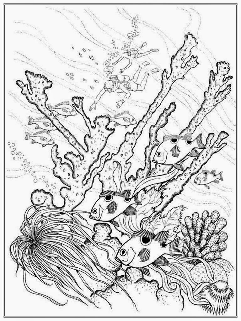 adult free fish coloring pages realistic coloring pages