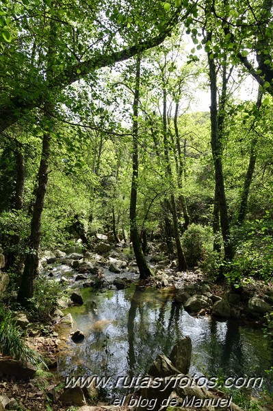 El Bujeo - Pista de la Algamasilla - Puerto de la Higuera - Río Guadalmesí