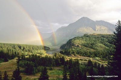 Amazing Rainbows