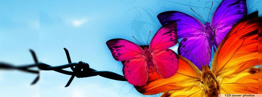 Butterflies Facebook Cover Page Quotes. QuotesGram