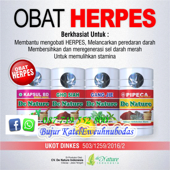 Obat Penyakit Herpes Genital (herpes)