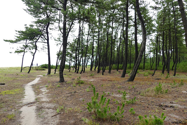 鳥取県米子市川崎