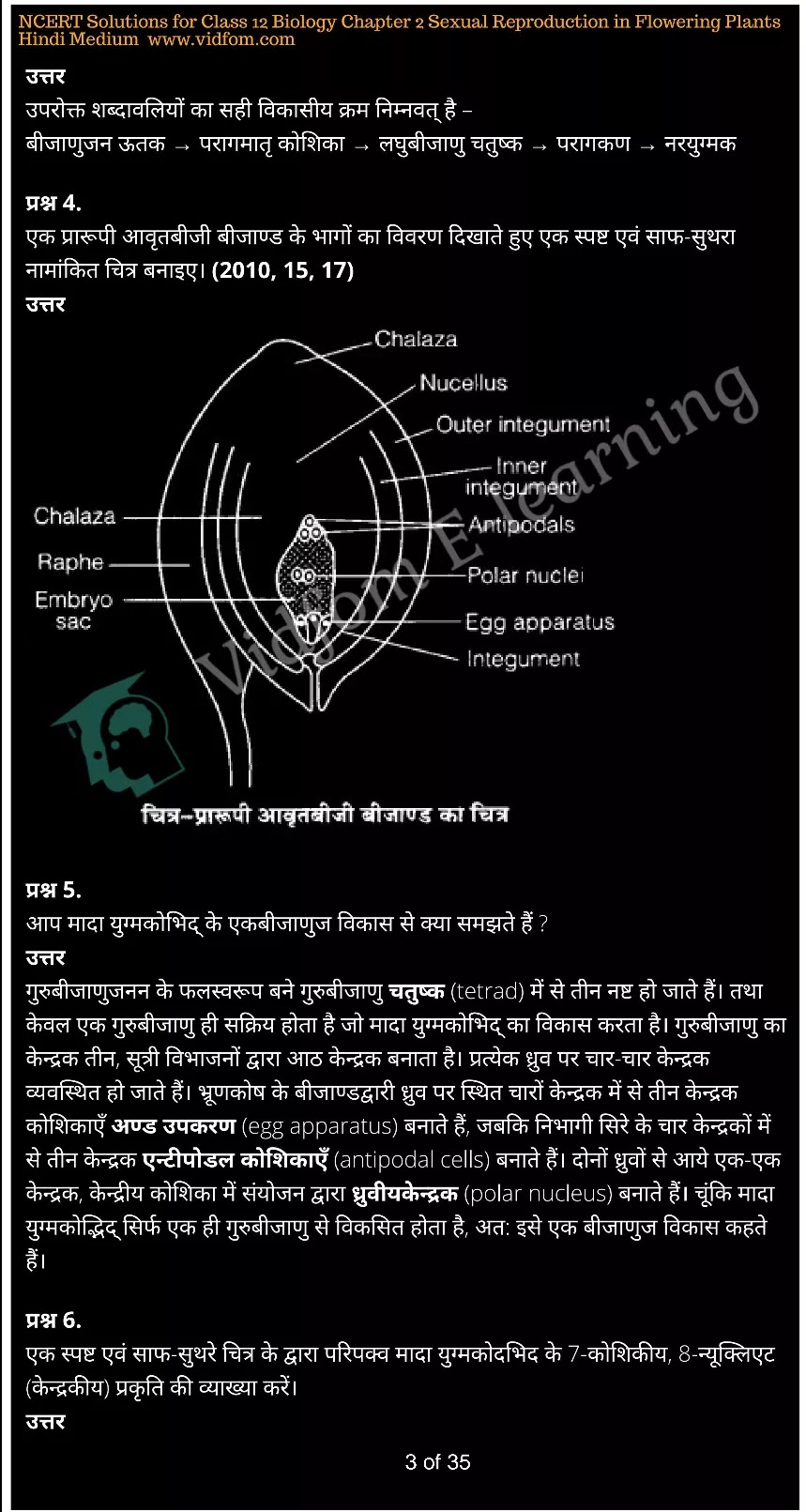 कक्षा 12 जीव विज्ञान  के नोट्स  हिंदी में एनसीईआरटी समाधान,     class 12 Biology Chapter 2,   class 12 Biology Chapter 2 ncert solutions in Hindi,   class 12 Biology Chapter 2 notes in hindi,   class 12 Biology Chapter 2 question answer,   class 12 Biology Chapter 2 notes,   class 12 Biology Chapter 2 class 12 Biology Chapter 2 in  hindi,    class 12 Biology Chapter 2 important questions in  hindi,   class 12 Biology Chapter 2 notes in hindi,    class 12 Biology Chapter 2 test,   class 12 Biology Chapter 2 pdf,   class 12 Biology Chapter 2 notes pdf,   class 12 Biology Chapter 2 exercise solutions,   class 12 Biology Chapter 2 notes study rankers,   class 12 Biology Chapter 2 notes,    class 12 Biology Chapter 2  class 12  notes pdf,   class 12 Biology Chapter 2 class 12  notes  ncert,   class 12 Biology Chapter 2 class 12 pdf,   class 12 Biology Chapter 2  book,   class 12 Biology Chapter 2 quiz class 12  ,    10  th class 12 Biology Chapter 2  book up board,   up board 10  th class 12 Biology Chapter 2 notes,  class 12 Biology,   class 12 Biology ncert solutions in Hindi,   class 12 Biology notes in hindi,   class 12 Biology question answer,   class 12 Biology notes,  class 12 Biology class 12 Biology Chapter 2 in  hindi,    class 12 Biology important questions in  hindi,   class 12 Biology notes in hindi,    class 12 Biology test,  class 12 Biology class 12 Biology Chapter 2 pdf,   class 12 Biology notes pdf,   class 12 Biology exercise solutions,   class 12 Biology,  class 12 Biology notes study rankers,   class 12 Biology notes,  class 12 Biology notes,   class 12 Biology  class 12  notes pdf,   class 12 Biology class 12  notes  ncert,   class 12 Biology class 12 pdf,   class 12 Biology  book,  class 12 Biology quiz class 12  ,  10  th class 12 Biology    book up board,    up board 10  th class 12 Biology notes,      कक्षा 12 जीव विज्ञान अध्याय 2 ,  कक्षा 12 जीव विज्ञान, कक्षा 12 जीव विज्ञान अध्याय 2  के नोट्स हिंदी में,  कक्षा 12 का हिंदी अध्याय 2 का प्रश्न उत्तर,  कक्षा 12 जीव विज्ञान अध्याय 2  के नोट्स,  10 कक्षा जीव विज्ञान  हिंदी में, कक्षा 12 जीव विज्ञान अध्याय 2  हिंदी में,  कक्षा 12 जीव विज्ञान अध्याय 2  महत्वपूर्ण प्रश्न हिंदी में, कक्षा 12   हिंदी के नोट्स  हिंदी में, जीव विज्ञान हिंदी में  कक्षा 12 नोट्स pdf,    जीव विज्ञान हिंदी में  कक्षा 12 नोट्स 2021 ncert,   जीव विज्ञान हिंदी  कक्षा 12 pdf,   जीव विज्ञान हिंदी में  पुस्तक,   जीव विज्ञान हिंदी में की बुक,   जीव विज्ञान हिंदी में  प्रश्नोत्तरी class 12 ,  बिहार बोर्ड   पुस्तक 12वीं हिंदी नोट्स,    जीव विज्ञान कक्षा 12 नोट्स 2021 ncert,   जीव विज्ञान  कक्षा 12 pdf,   जीव विज्ञान  पुस्तक,   जीव विज्ञान  प्रश्नोत्तरी class 12, कक्षा 12 जीव विज्ञान,  कक्षा 12 जीव विज्ञान  के नोट्स हिंदी में,  कक्षा 12 का हिंदी का प्रश्न उत्तर,  कक्षा 12 जीव विज्ञान  के नोट्स,  10 कक्षा हिंदी 2021  हिंदी में, कक्षा 12 जीव विज्ञान  हिंदी में,  कक्षा 12 जीव विज्ञान  महत्वपूर्ण प्रश्न हिंदी में, कक्षा 12 जीव विज्ञान  नोट्स  हिंदी में,