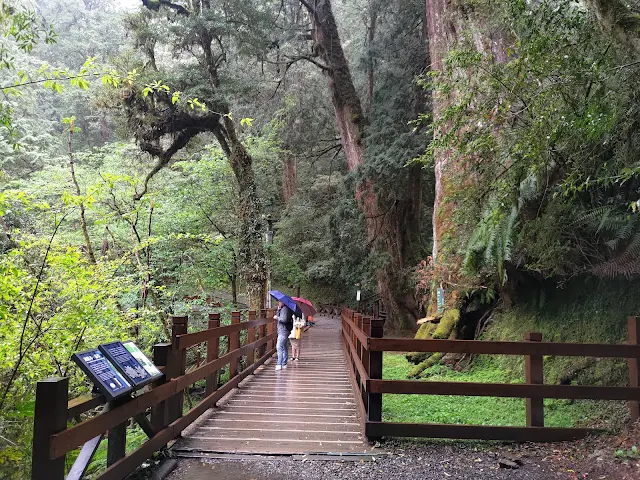 拉拉山國家森林遊樂區 - 步道