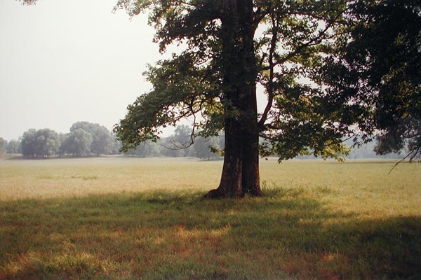 Уильям Эглстон | William Eggleston