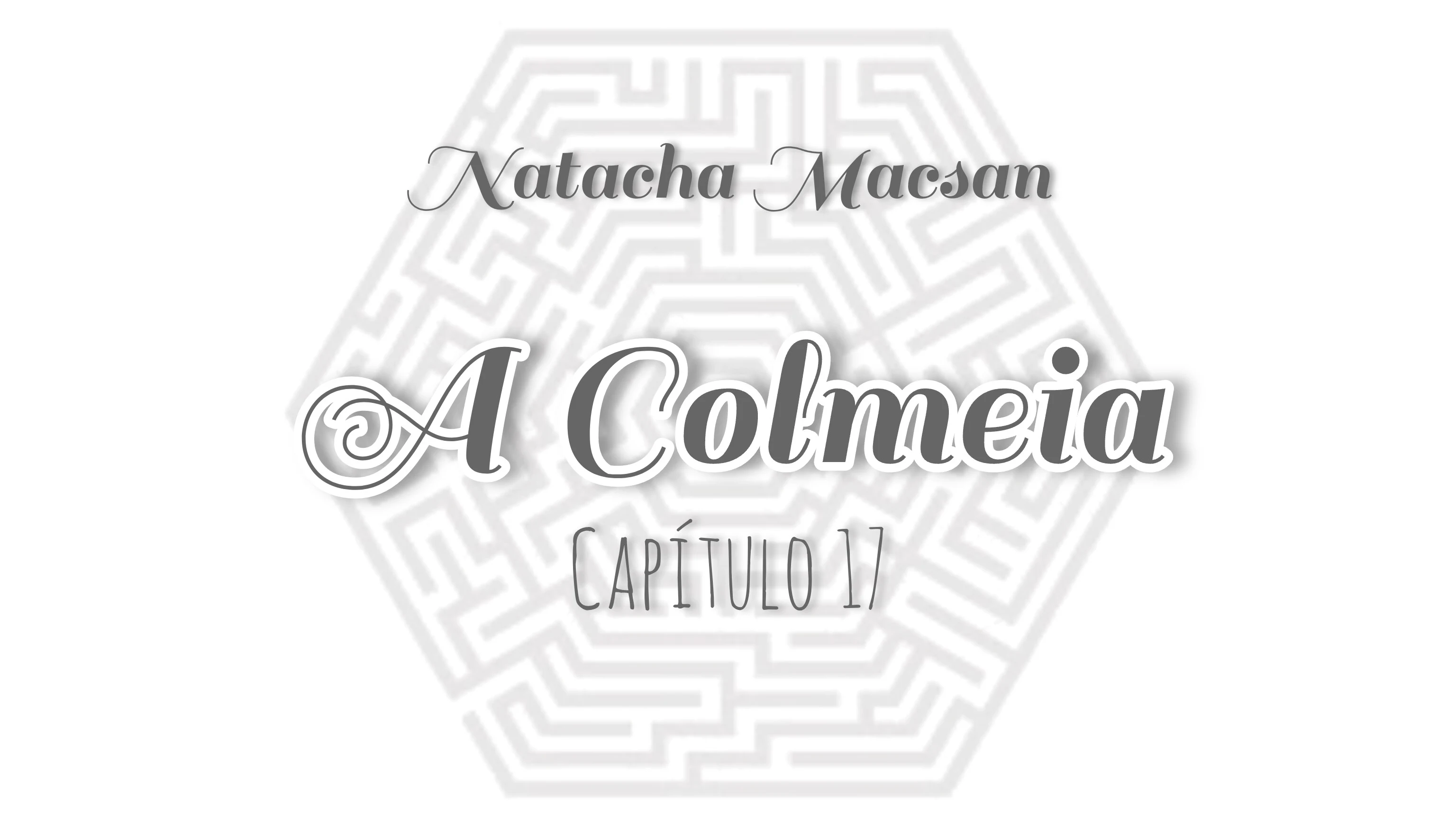 Capa da webnovel "A Colmeia" para ilustrar a postagem contendo o nome da Autora, Natacha Macsan; o nome da webnovel "A Colmeia" e a indicação do capítulo, Capítulo 17. Fundo branco com detalhe em octógono.