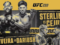 Watch UFC 288 Aljamain Sterling live stream against Henry Cejudo UFC 