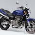 2001 Honda CB600F Hornet Blue