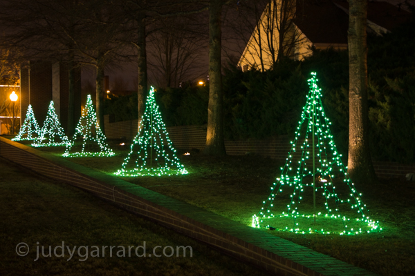 Green Lighted Trees
