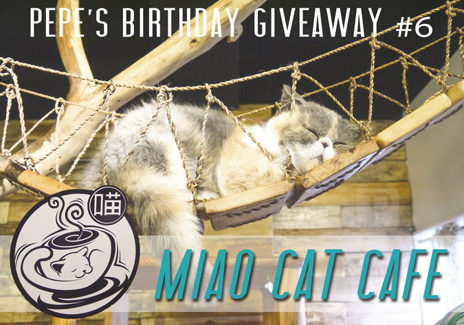 The Final Birthday Giveaway: Miao Cat Cafe!