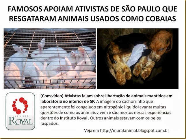 FAMOSOS APOIAM ATIVISTAS DE SÃO PAULO QUE RESGATARAM