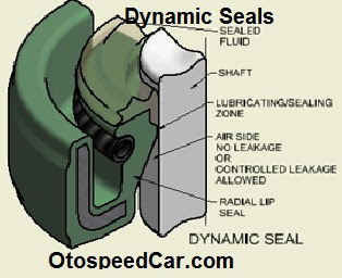  Difference and Similarity Between Static Seals and  Dynamic Seals