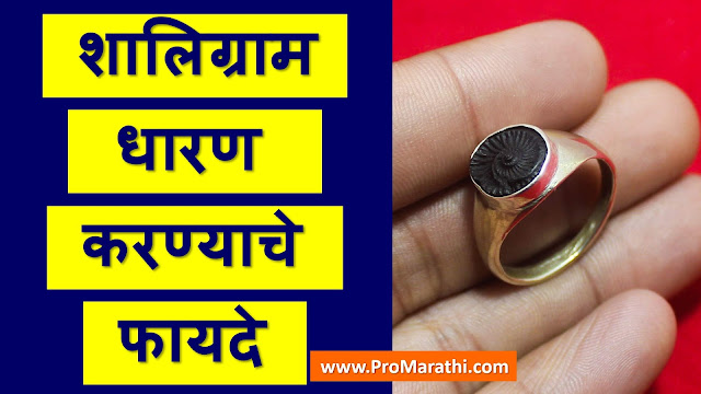 Shaligram Stone Benefits in Marathi