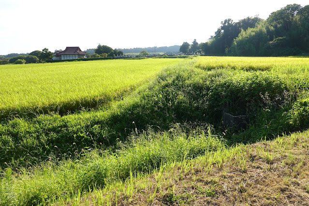 鳥取県西伯郡大山町坊領　農道からの眺望