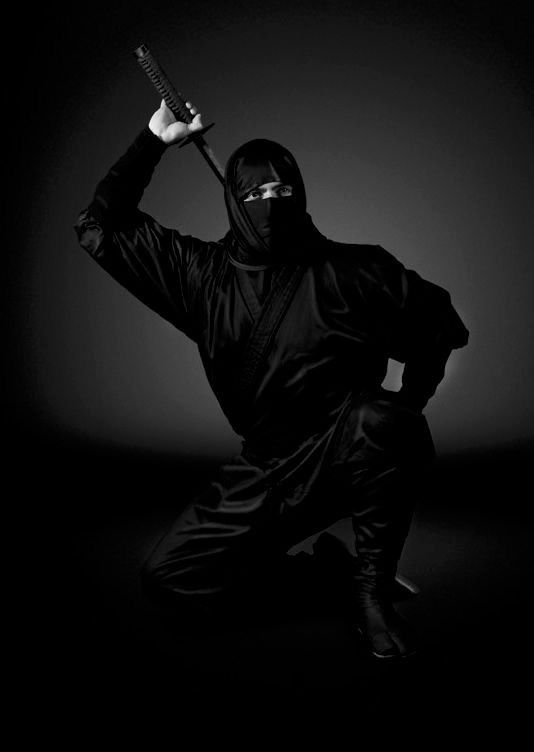 NINPO SHINOBIJUTSU