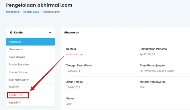 Kelola DNS & Cara Setting Domain Custom Ke Blogspot