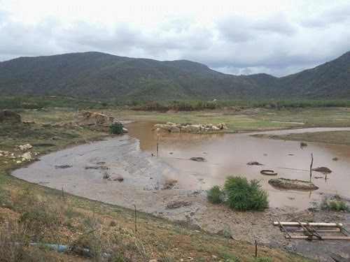 ACUDE MONTE ALEGRA