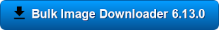 Download-Free-Bulk-Image-Downloader-6-13-0-Full-Crack-Portable