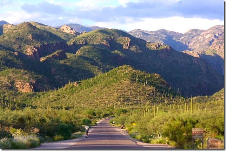 Sabino Canyon and Santa Catalina Mountains