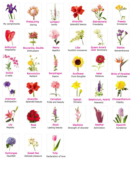 types of flowers a z Flowers and Their Meanings | 454 x 600