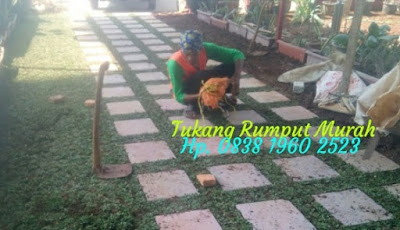 www.tukangrumputbogor.com