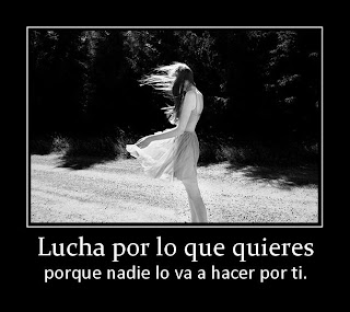 Lucha por lo que quieres 