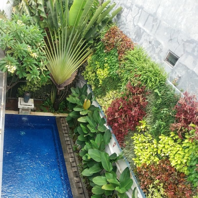 Vertical Garden Outdoor