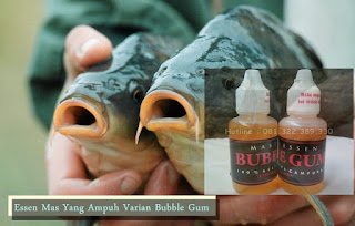 Essen Bubble Gum Mas Yang Ampuh