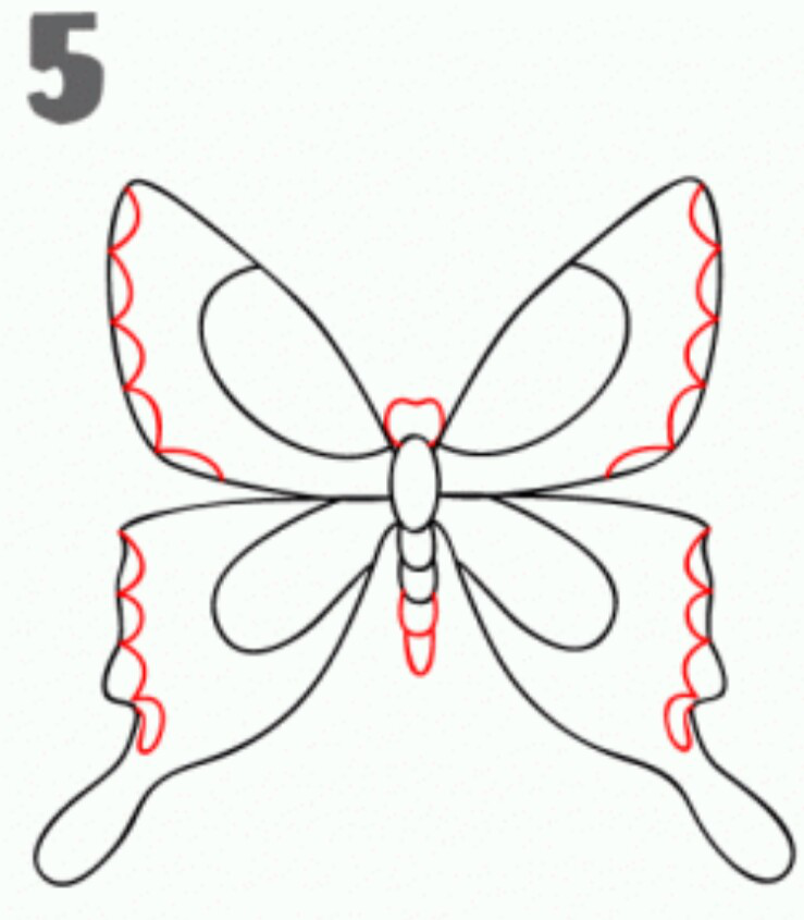  Menggambar sketsa kupu kupu INFOZANI