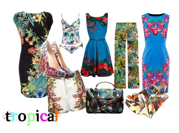 tropical 4