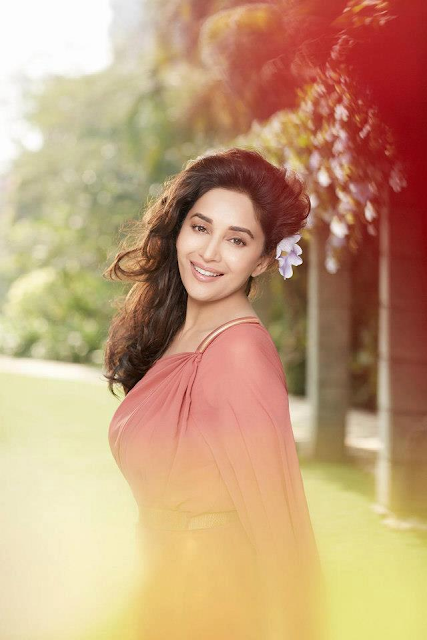 Most Popular Celebrities Madhuri Dixit HD Wallpapers