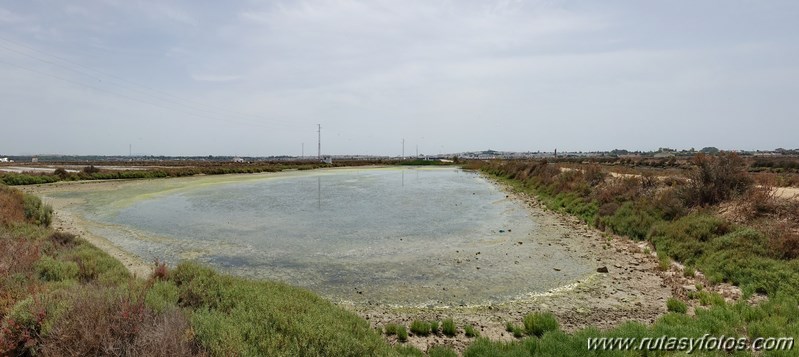 Ruta de los Esteros (Chiclana)