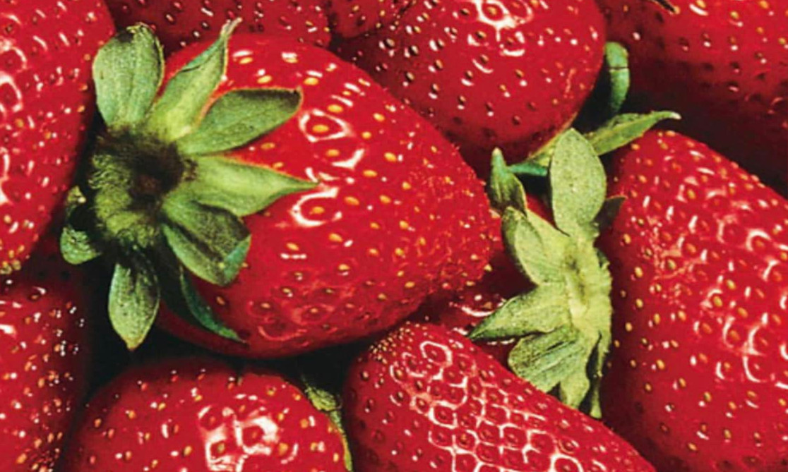 close up photograph of strawberries