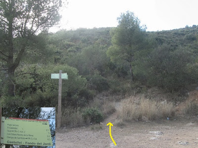 El Castellot-Puig de la Cogulla-Torre de Cal Pascol, corriol de pujada en direcció al Castellot