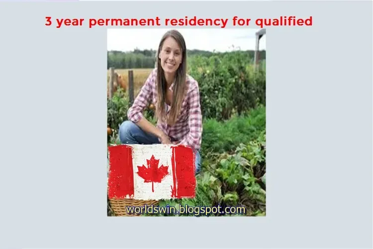 3 year permanent residency in Canada