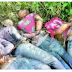 Slain IPOB members : Corpses found inside bush