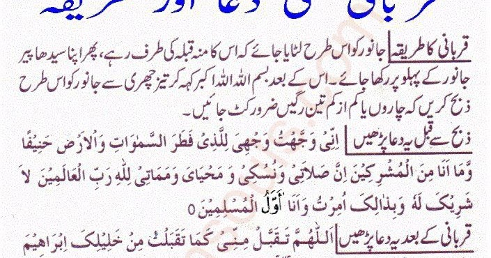 Qurbani Ki Dua Or Tarika  Life Of Muslim Islam Quran 