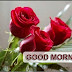 Latest  Good Morning Love Quotes HD Pictuers