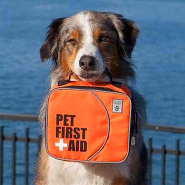 pet first aid kit