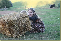 IMG_7085 IMG_7085
