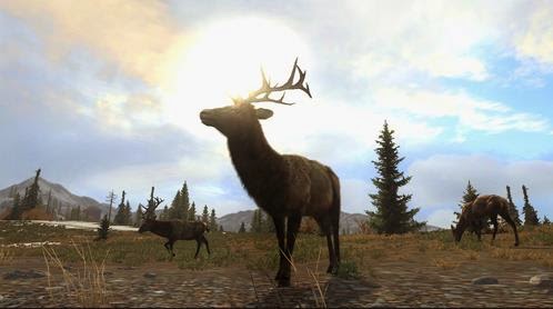 Download PC Games Cabelas Big Game Hunter Pro Hunts