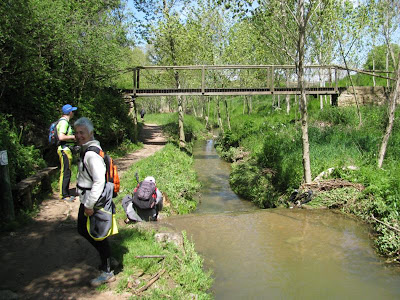 Panta de Saladeures & Puiglagulla & Ruta dels molins (St Julià de Vilatorta) & St Marc 2013