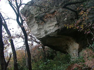 La Belle au Toit Dormant