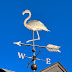 A Flamingo in Leominster, Massachusetts for Weathervane Wednesday
